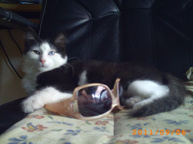 Slika