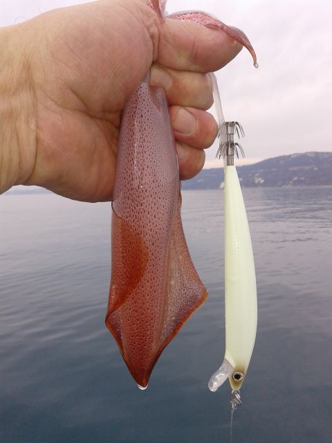 Slika