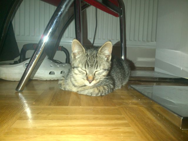 Slika