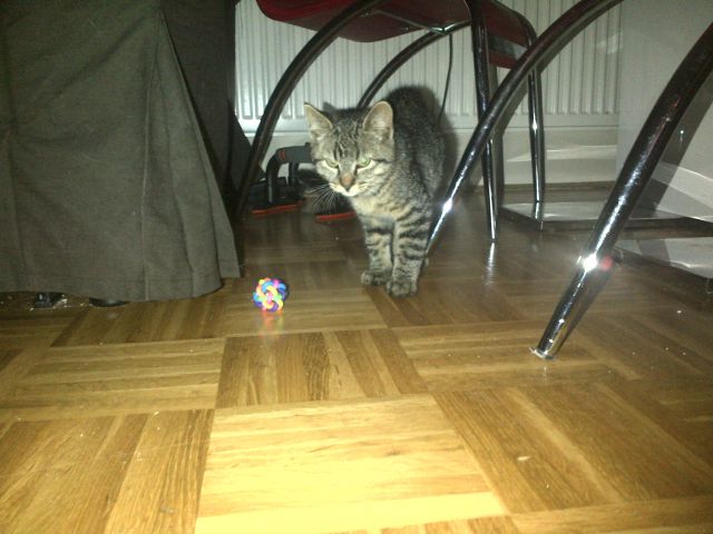 Slika