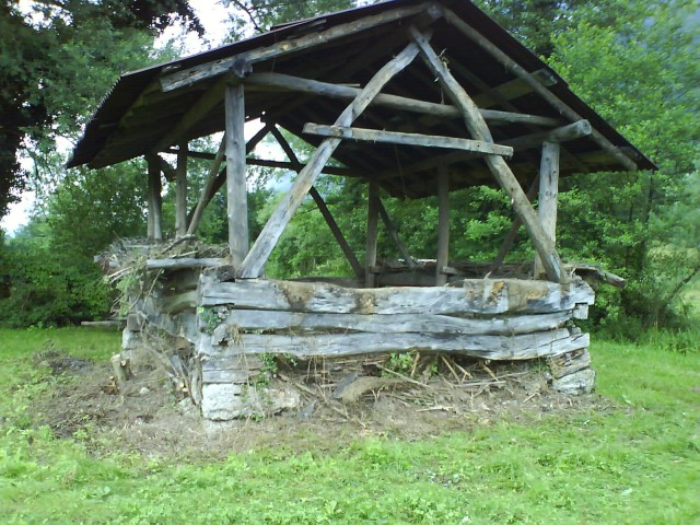 Senik v travniku - foto