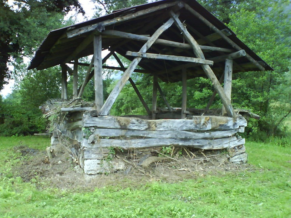 Senik v travniku - foto povečava