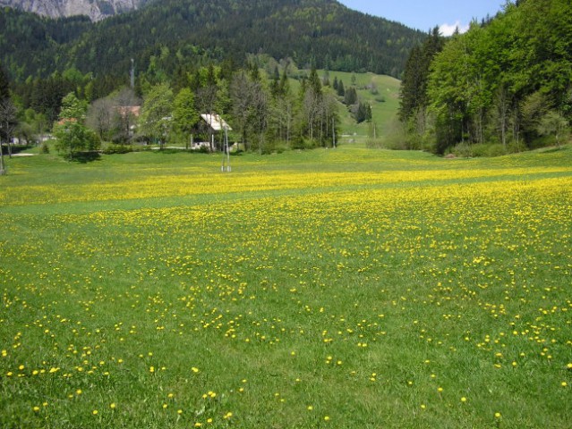 Jezersko - foto