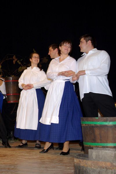 Folklorni večer 2007 Veržej - foto