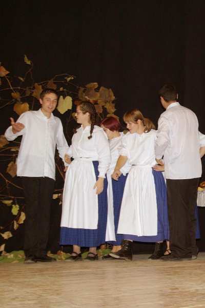 Folklorni večer 2007 Veržej - foto povečava