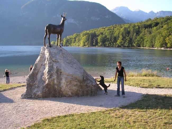 Lucy-bohinj - foto povečava