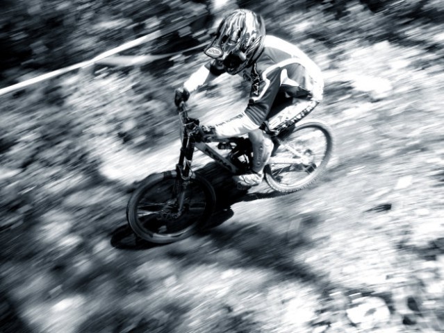 DOWNHILL - foto