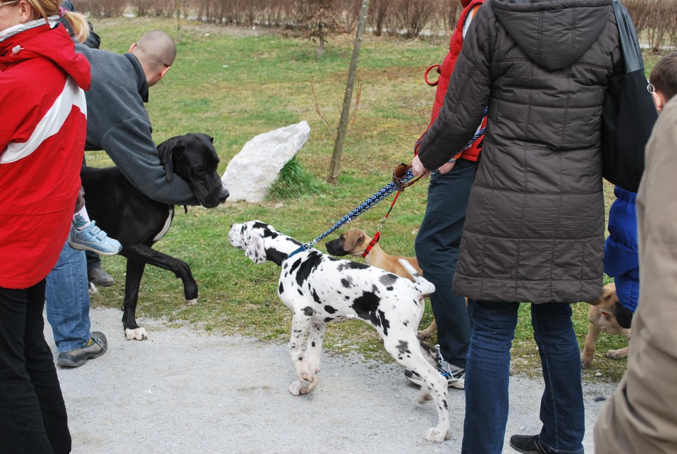 Srecanje 21.3.2009 - foto povečava