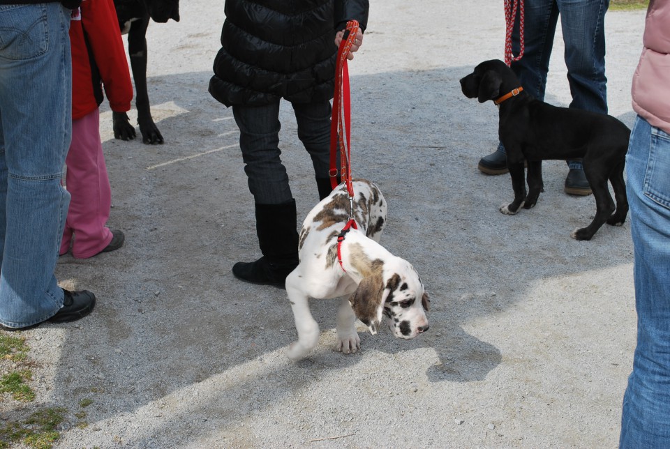 Srecanje 21.3.2009 - foto povečava
