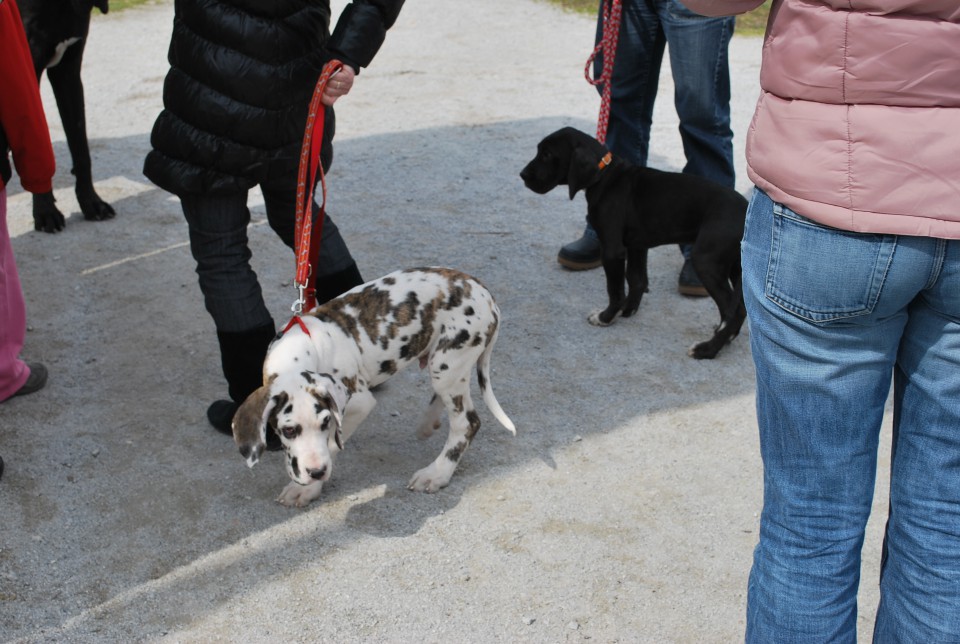 Srecanje 21.3.2009 - foto povečava