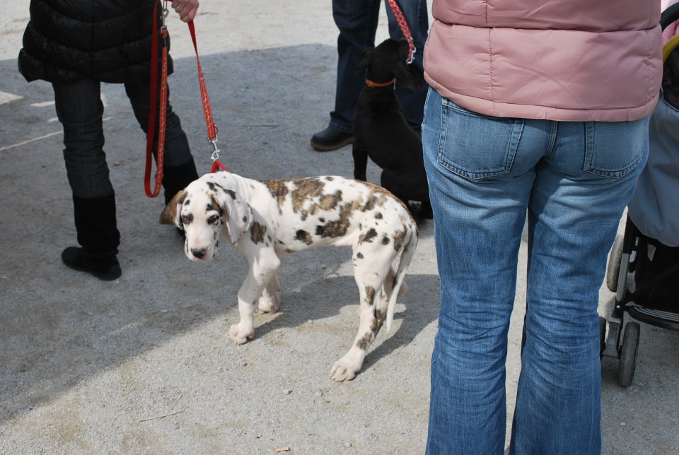 Srecanje 21.3.2009 - foto povečava