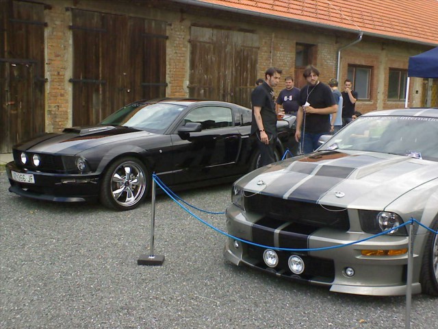 MUSTANG - foto