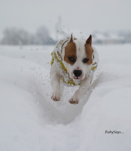 WinterFun - foto