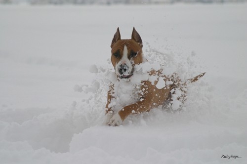 WinterFun - foto