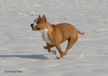 WinterFun - foto povečava