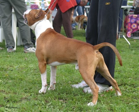 CAC Trbovlje 2006 - foto povečava