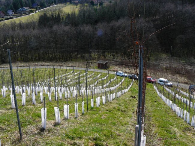 Praksa Meranovo - foto povečava