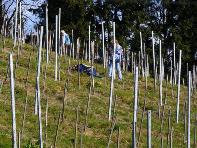 Praksa Meranovo - foto povečava