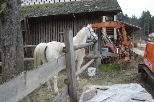 Samo - foto povečava