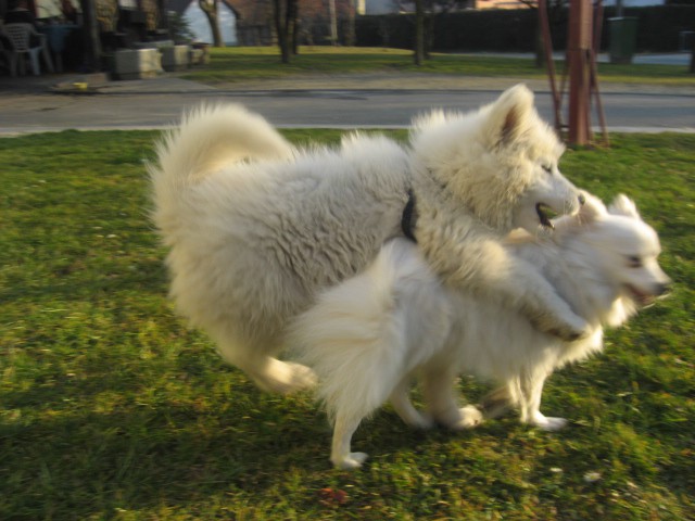 Lana na obisku - foto povečava