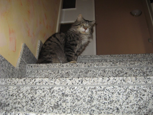 Marec 2008 - foto