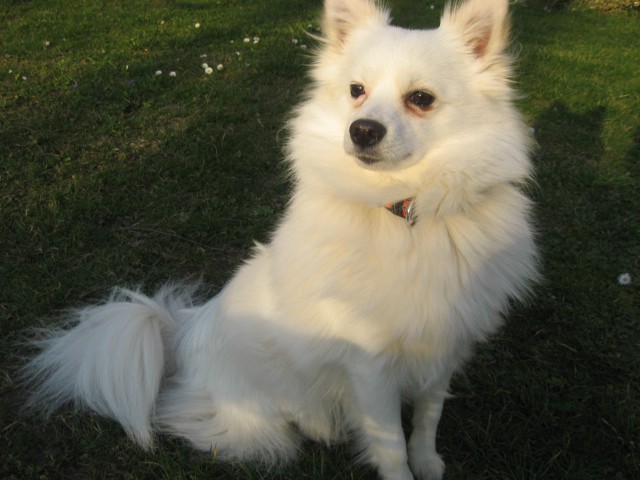 Marec 2008 - foto