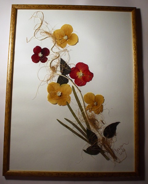 Suho cvetje - slike - foto