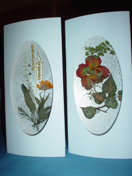 Suho cvetje - voščilnice - foto