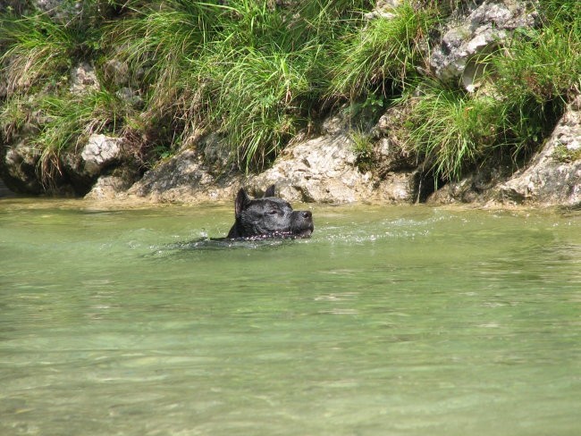 Mladički2  - foto povečava