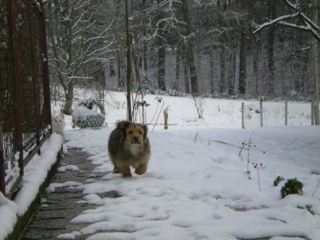 Lan, december 2007 - foto