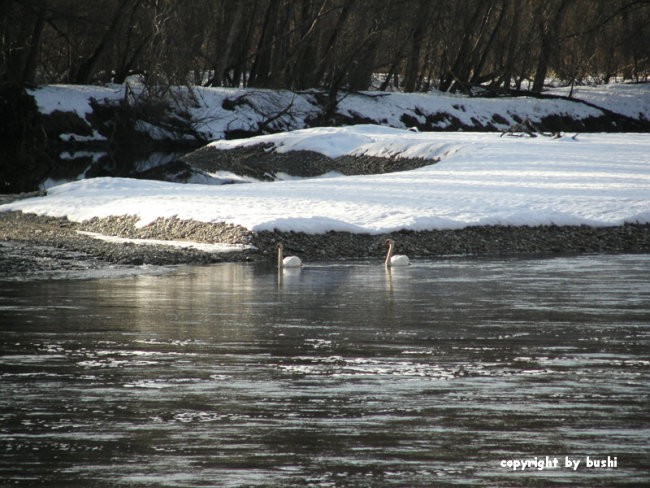 2006-02-17 - Otok ljubezni - foto povečava