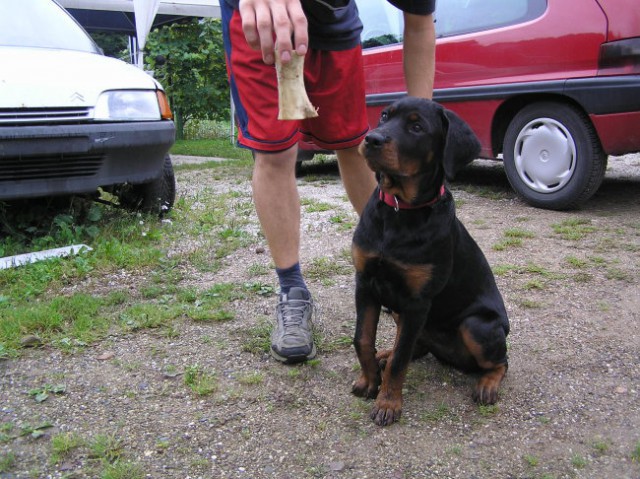 Lunca - foto