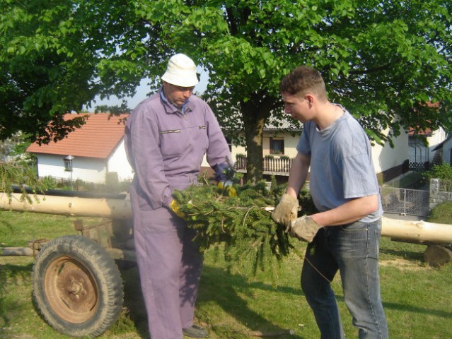 Postavitev prvomajskega drevesa 2007 - foto