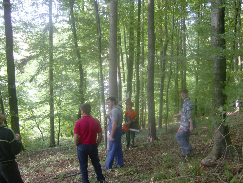 Postavljanje prvomajskega drevesa 2009 - foto povečava