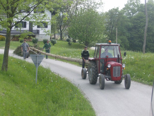 Postavljanje prvomajskega drevesa 2009 - foto