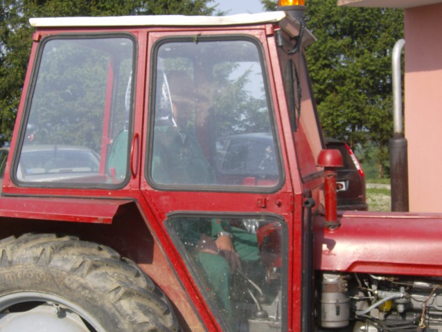 Postavljanje prvomajskega drevesa 2009 - foto