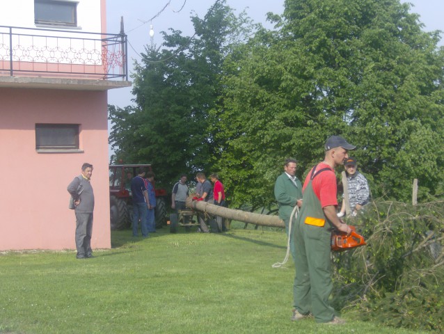 Postavljanje prvomajskega drevesa 2009 - foto