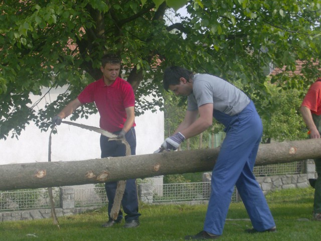 Postavljanje prvomajskega drevesa 2009 - foto