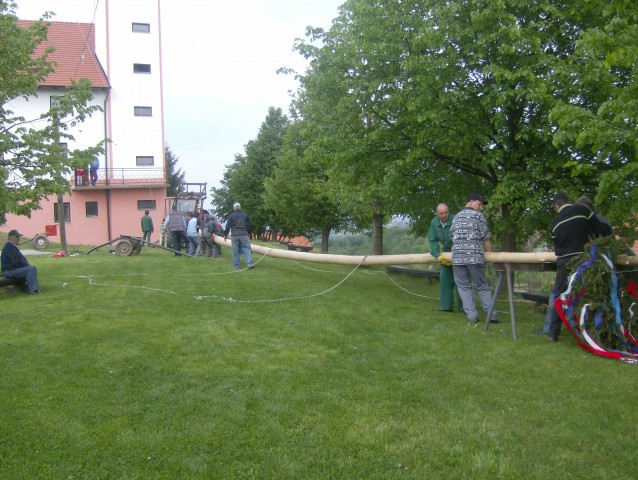Postavljanje prvomajskega drevesa 2009 - foto