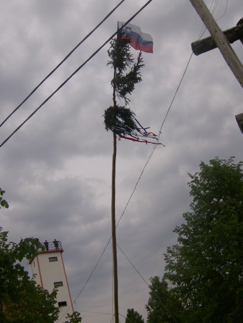 Postavljanje prvomajskega drevesa 2009 - foto