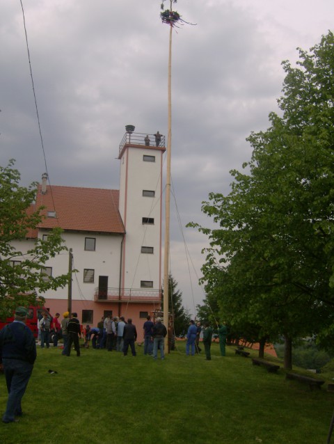 Postavljanje prvomajskega drevesa 2009 - foto