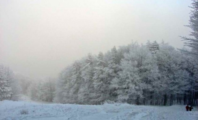 Po snegu na Belvi - foto