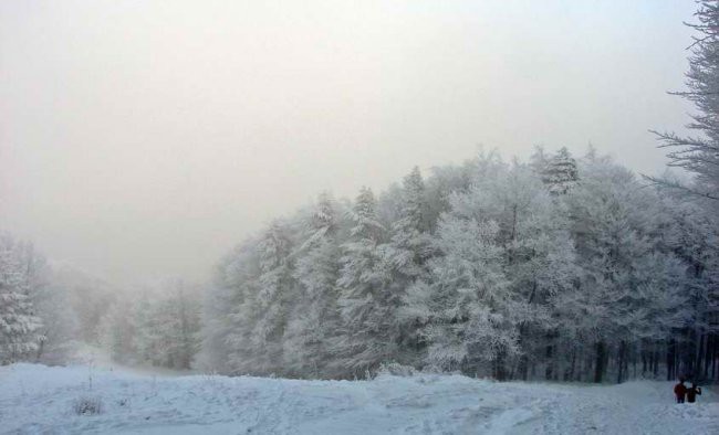 Po snegu na Belvi - foto povečava