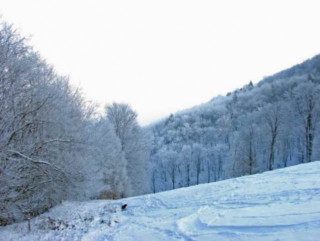 Po snegu na Belvi - foto