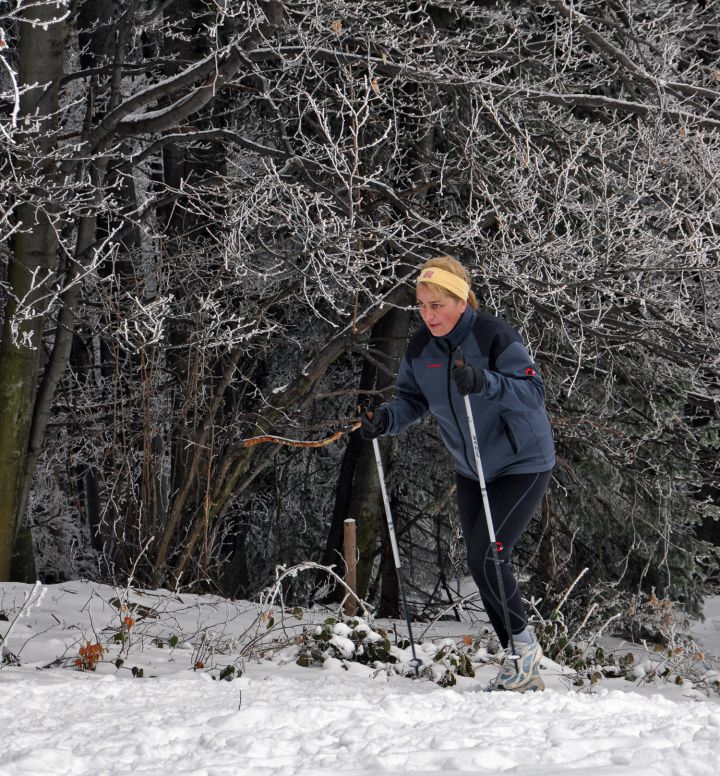 Enajsti pohod - foto povečava