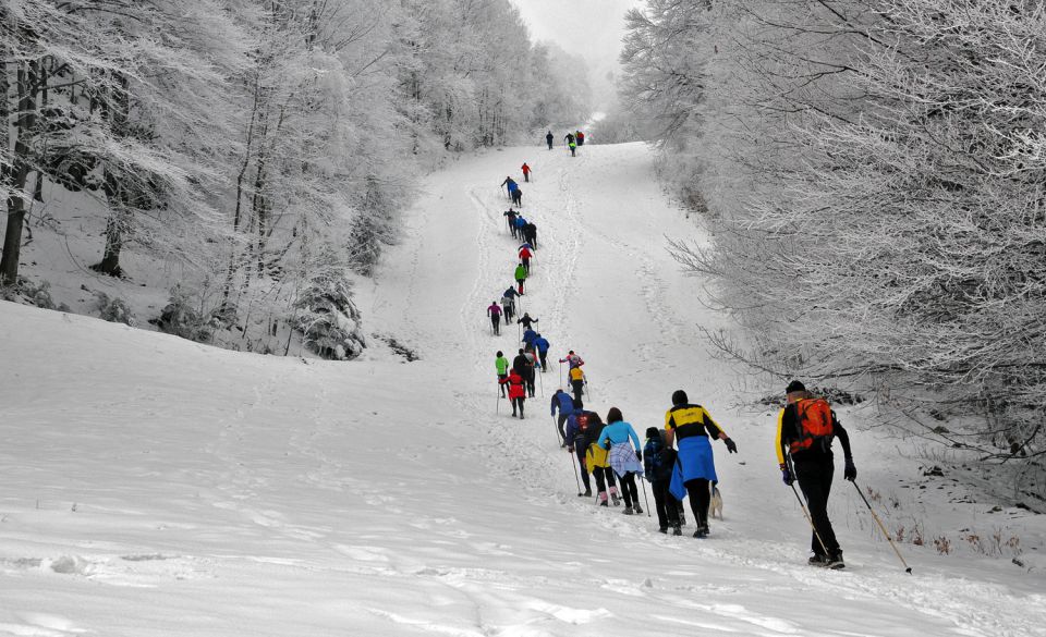 Enajsti pohod - foto povečava