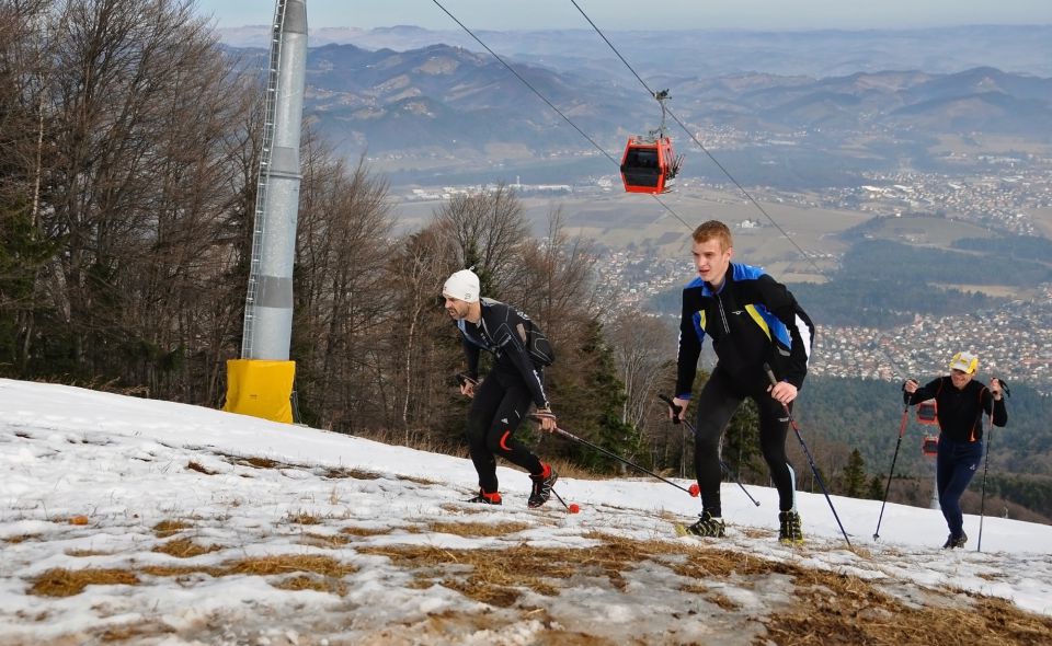 12. nedelja - foto povečava