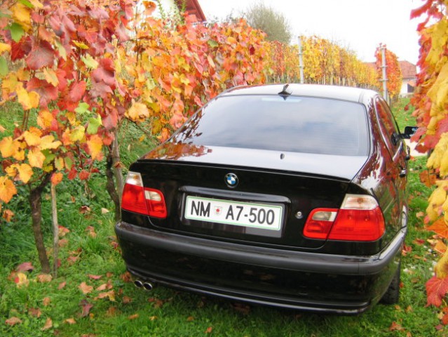 Za BMW koledar 2005 - foto