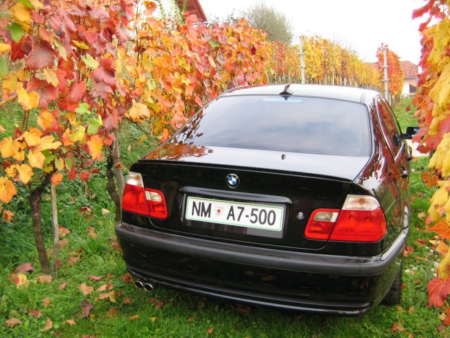 Za BMW koledar 2005 - foto povečava