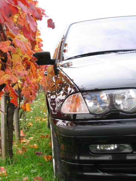 Za BMW koledar 2005 - foto